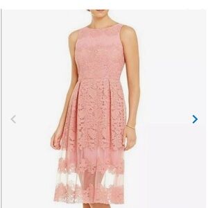 Katherine Kelly Elegant Lace Midi Dress in Soft Pink Size 4
